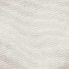 The Painter Pant in Seeded Natural Chipped Canvas